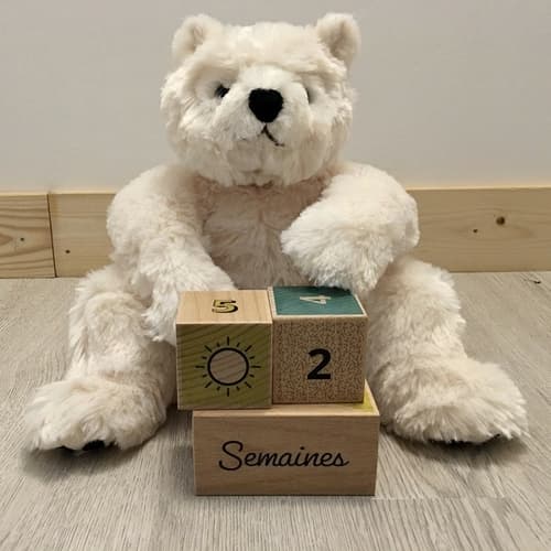 Camille birth cubes box