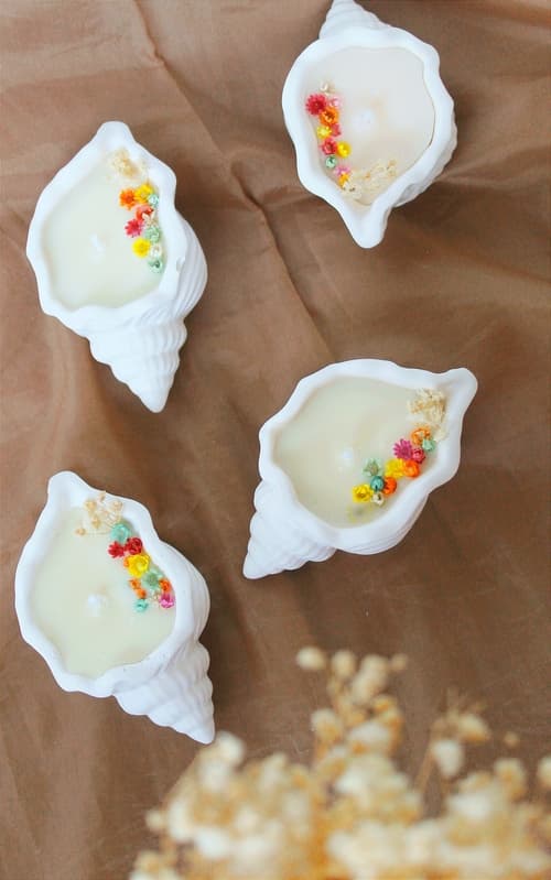 Shell Candle